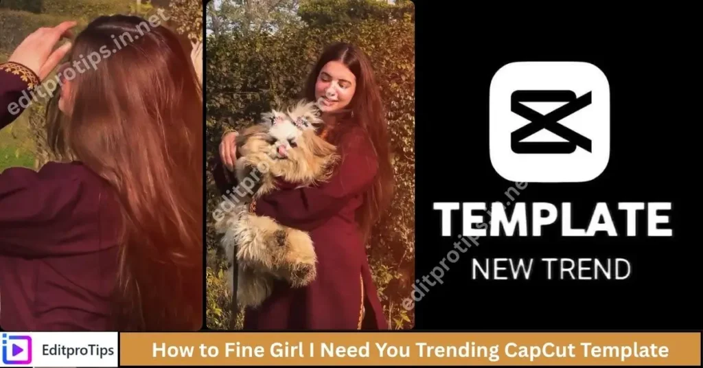 How to Fine Girl I Need You Trending CapCut Template