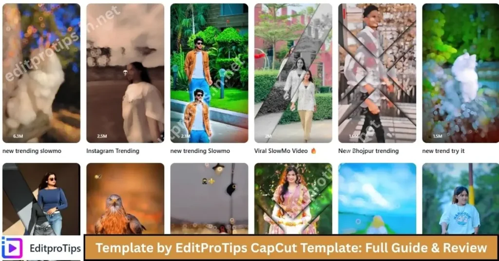 Template by editprotips trending