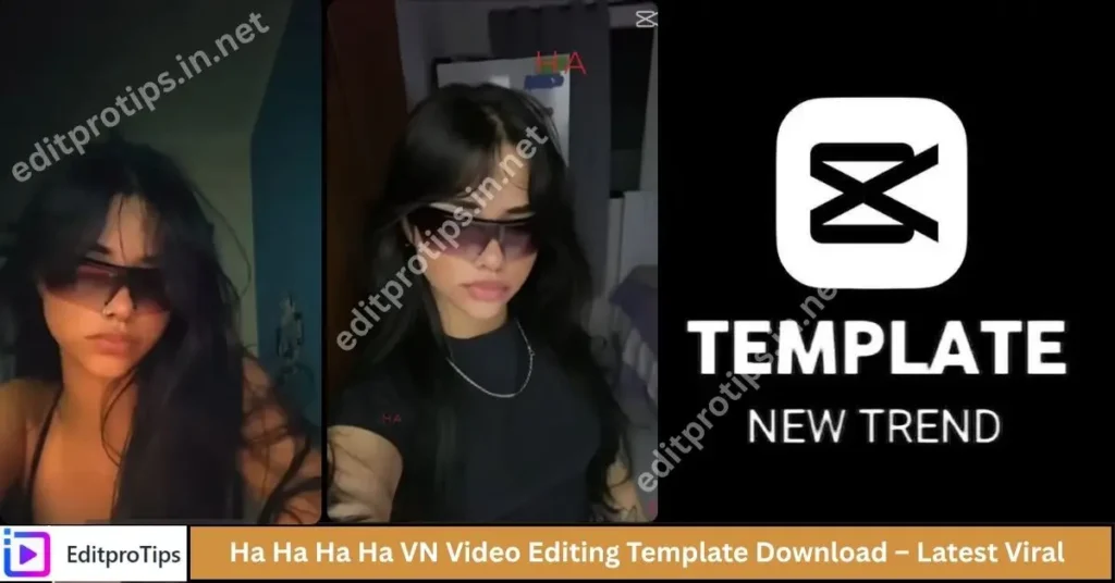 Ha Ha Ha Ha VN Video Editing Template Download β Latest Viral