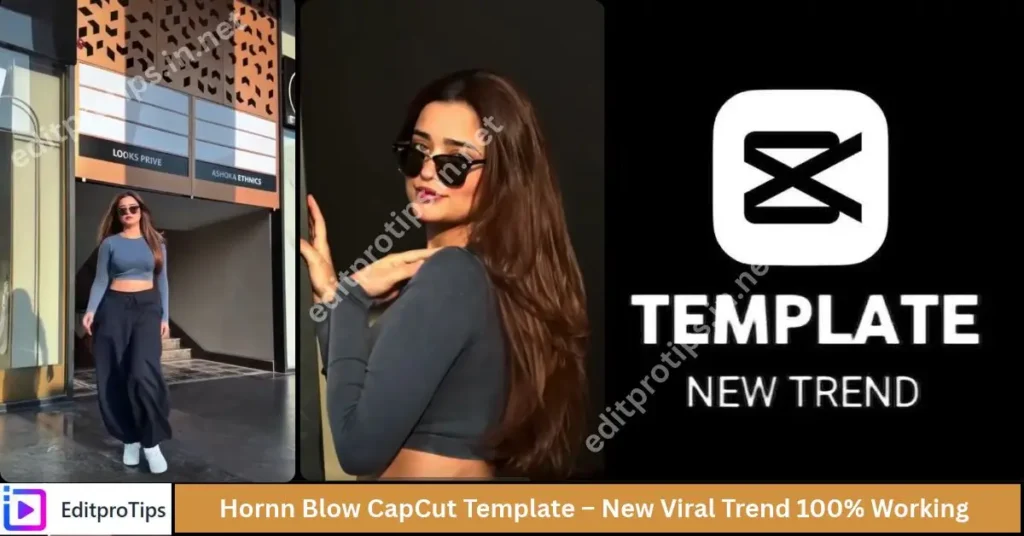 Hornn Blow CapCut Template – New Viral Trend 100% Working