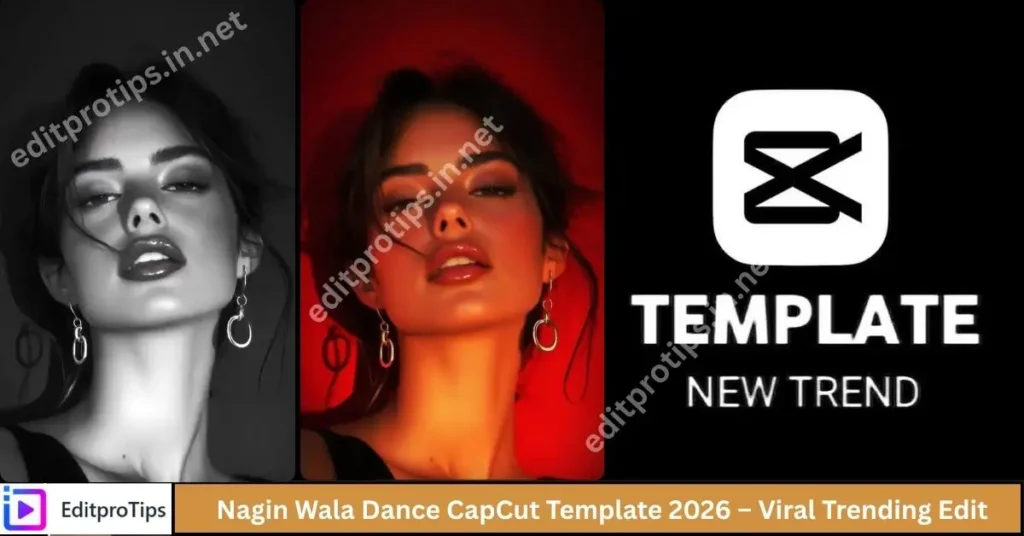 Nagin Wala Dance CapCut Template 2026