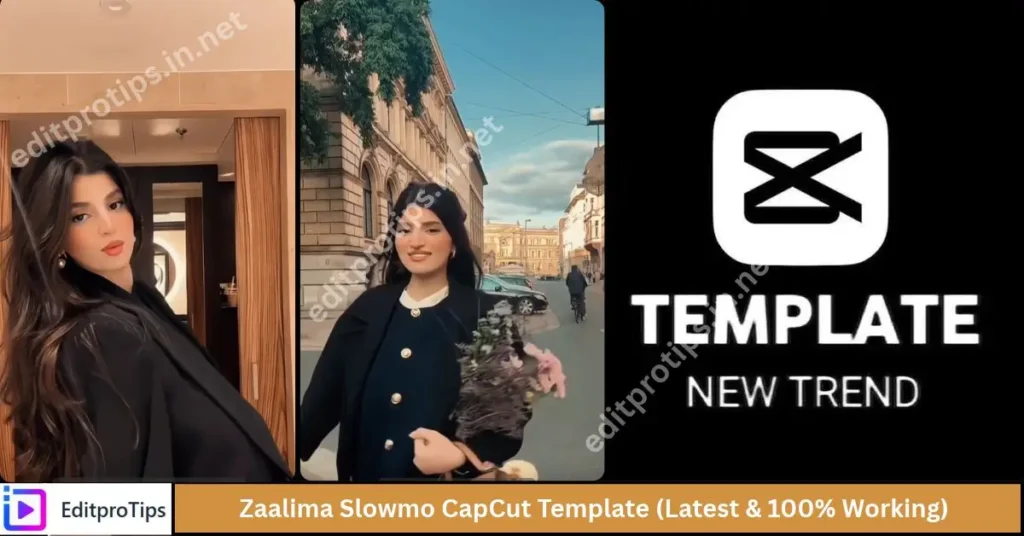 Zaalima Slowmo CapCut Template (Latest & 100% Working)